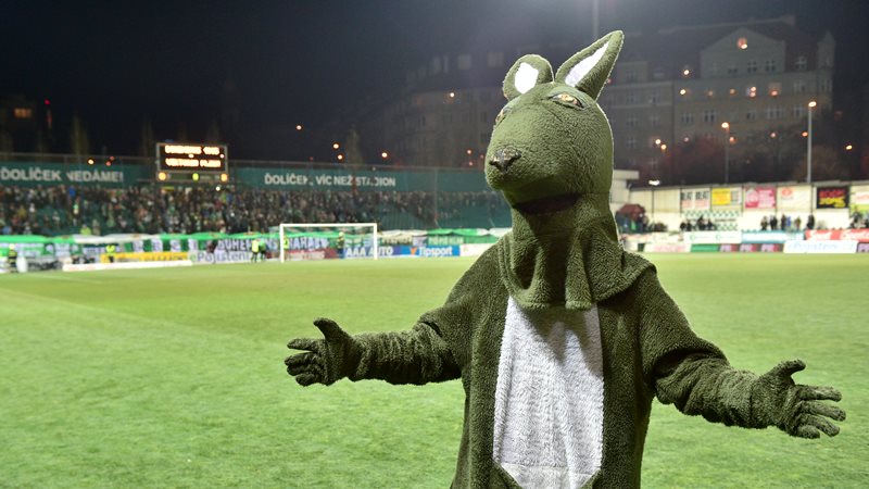 Bohemians hrozí kontumace zápasu s Plzní kvůli špatnému terénu. Bohemians hrozí kontumace zápasu s Plzní kvůli špatnému terénu.