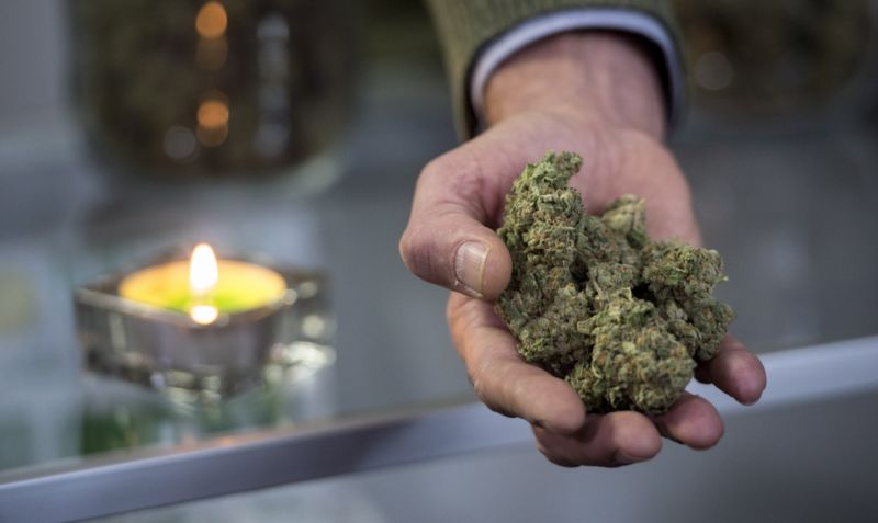 Marihuana (ilustrační foto).