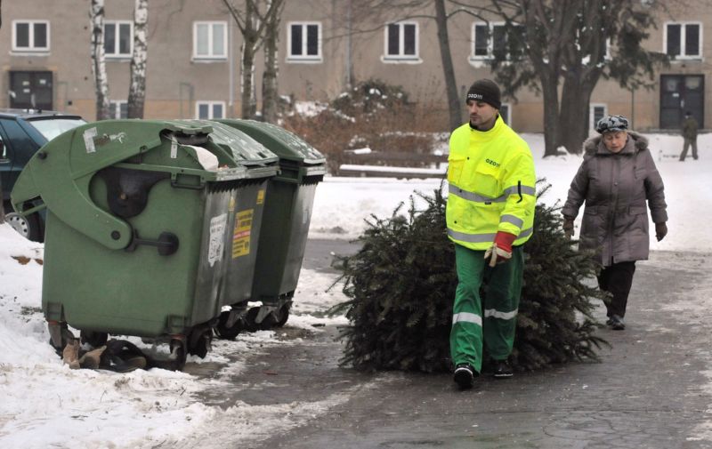 Vánoční stromky by lidé neměli odkládat do popelnic ani do kontejnerů.