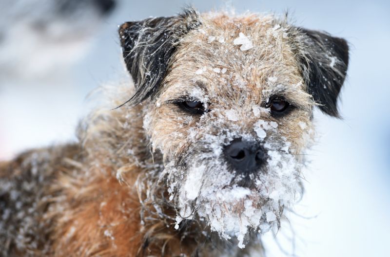 Teplota na šumavské Rokytské slati klesla 7. ledna nad ránem na minus 34,5 stupně Celsia. 