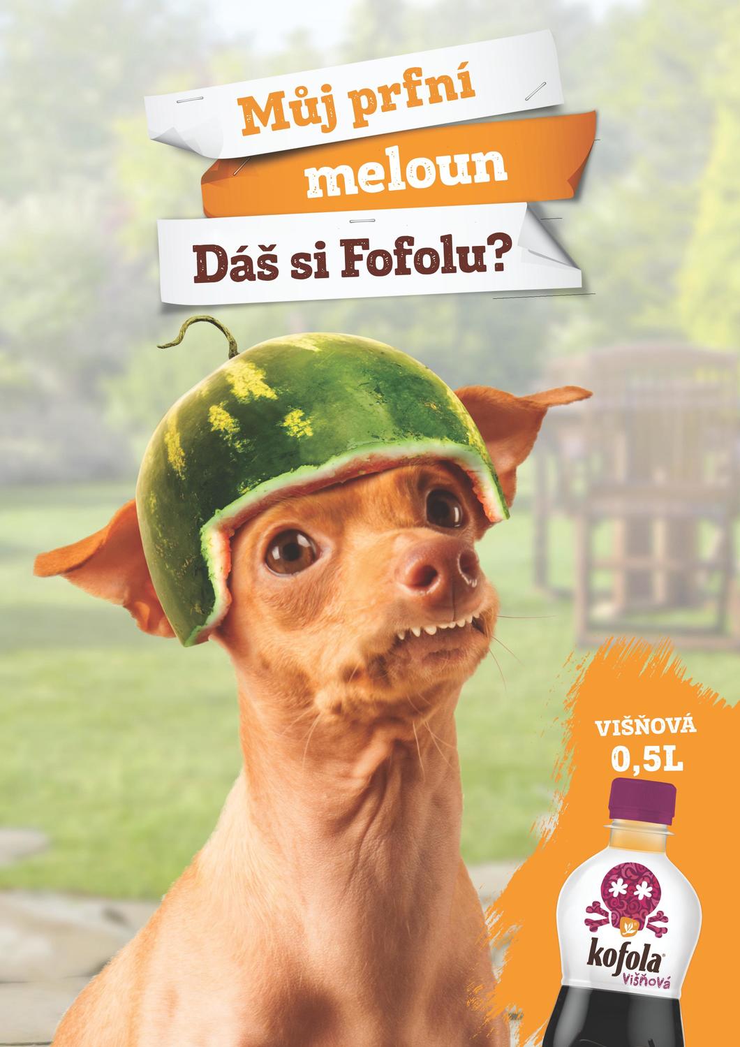 bez popisku 879518