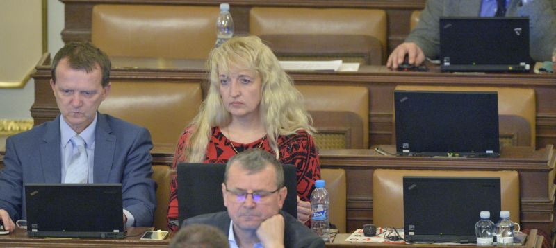 Poslankyně Pavlína Nytrová.