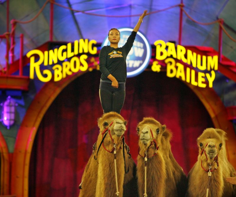 Ringling Bros. Ringling Bros.