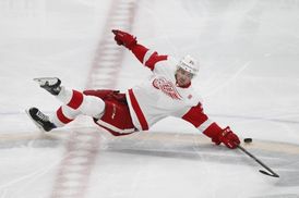 Mike Green v pádu jakoby ilustroval pád celého mužstva.