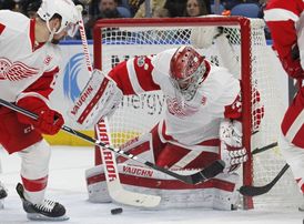 Brankář Petr Mrázek nemá v organizaci Red Wings nic jisté.