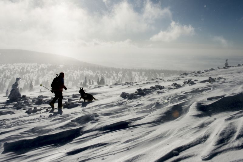 Krkonoše. 
