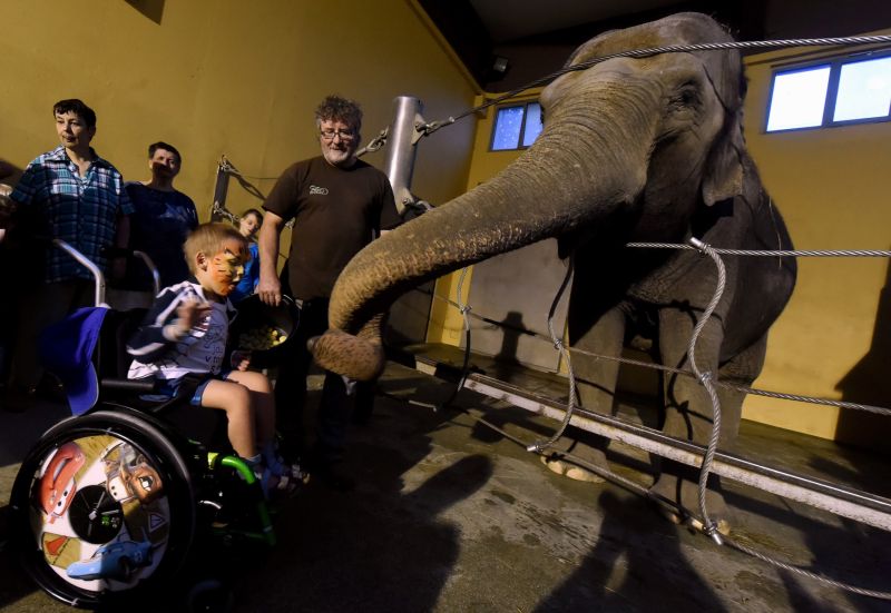 Ostravská zoologická zahrada loni oslavila 65 let od svého založení a chová přes 400 druhů zvířat.