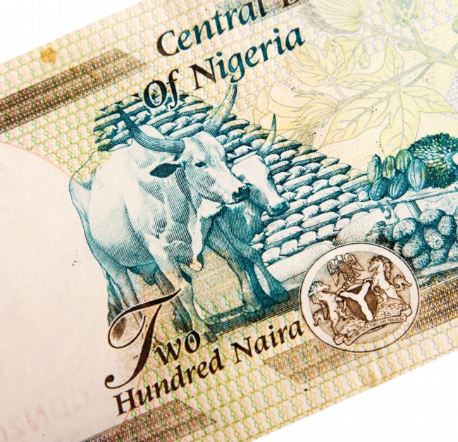 Nigerijská bankovka.