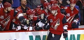Radim Vrbata přijímá gratulace ke vstřelenému gólu.