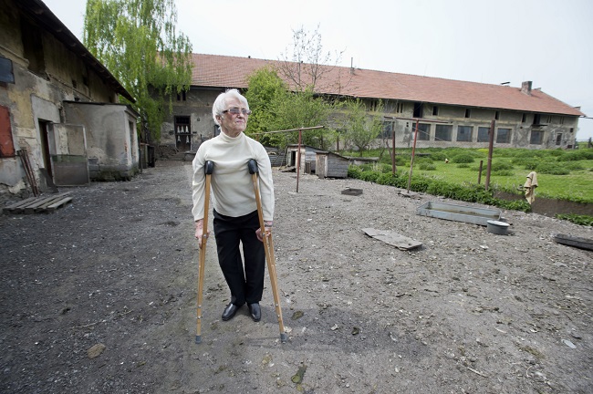 Zdena Mašínová na statku v Lošanech. Zdena Mašínová na statku v Lošanech.