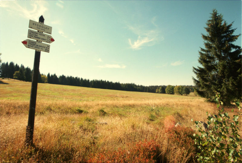Národní park Šumava (ilustrační foto). Národní park Šumava (ilustrační foto).