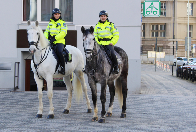  Městské policistky na koních. 