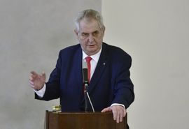 Zemanovi se ve volbách postaví podnikatel a textař Michal Horáček, aktivista Marek Hilšer a podnikatel Igor Sládek. Další kandidáti dosud svou účast ve volbách oficiálně nepotvrdili.