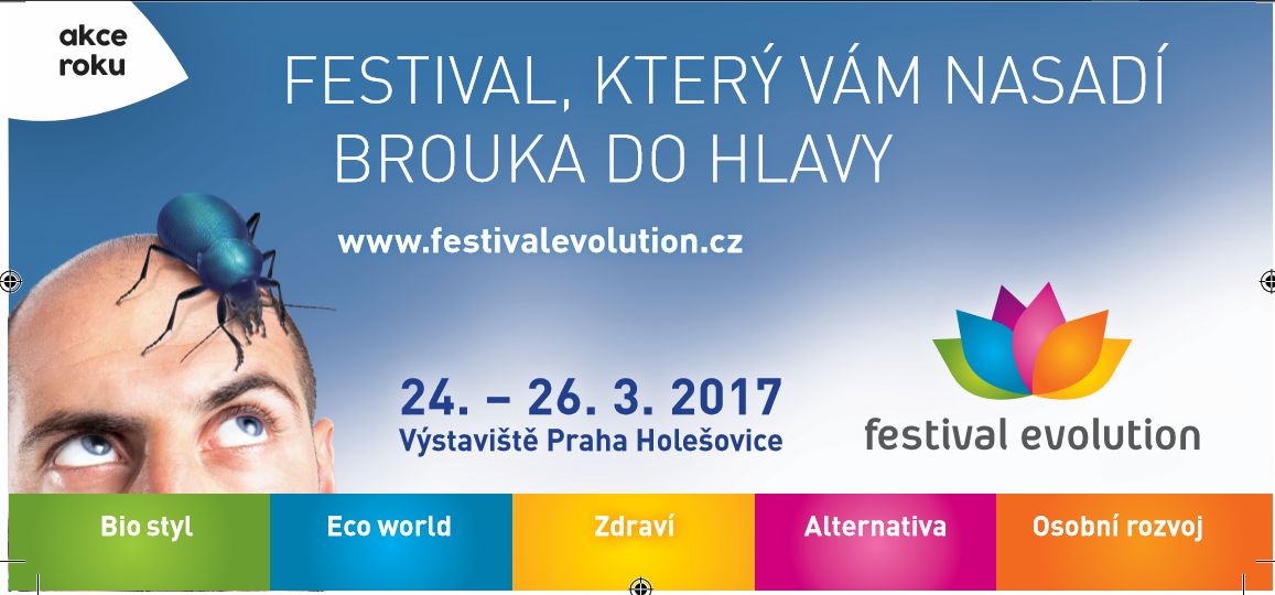 Festival Evolution.
