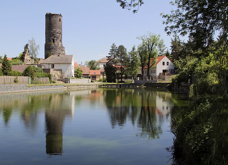 Zřícenina hradu Jenštejn. Zřícenina hradu Jenštejn.
