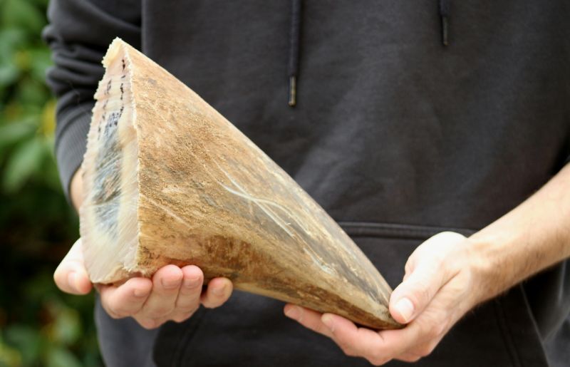O nosorožčí rohy mají zájem především země ve východní Asii. O nosorožčí rohy mají zájem především země ve východní Asii.