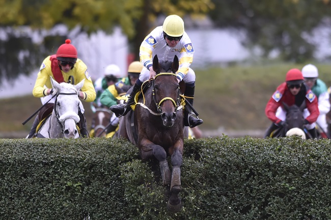 Koňské dostihy Velká národní steeplechase.