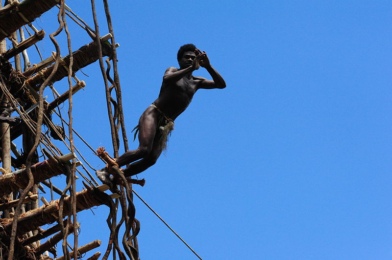 Odvážní muži během rituálu zvaného Gol skáčou takzvaný liánový bungee jumping.