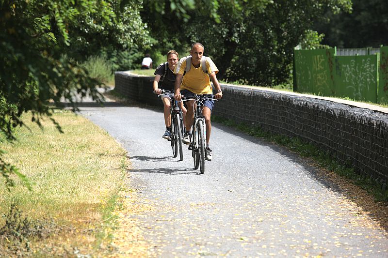 Cyklisté (ilustrační foto).
