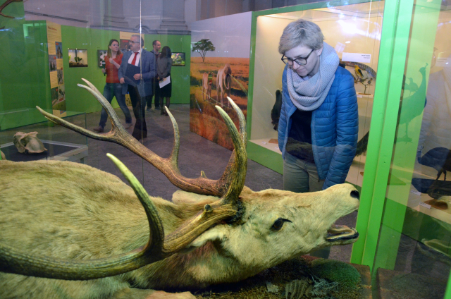 Vlastivědné muzeum v Olomouci otevřelo výstavu s názvem Milování v přírodě.