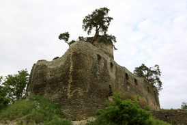 Zřícenina hradu Gutštejn u Konstantinových lázní. Hrad zde stával již roku 1316, ale v 16. století byl opuštěn.