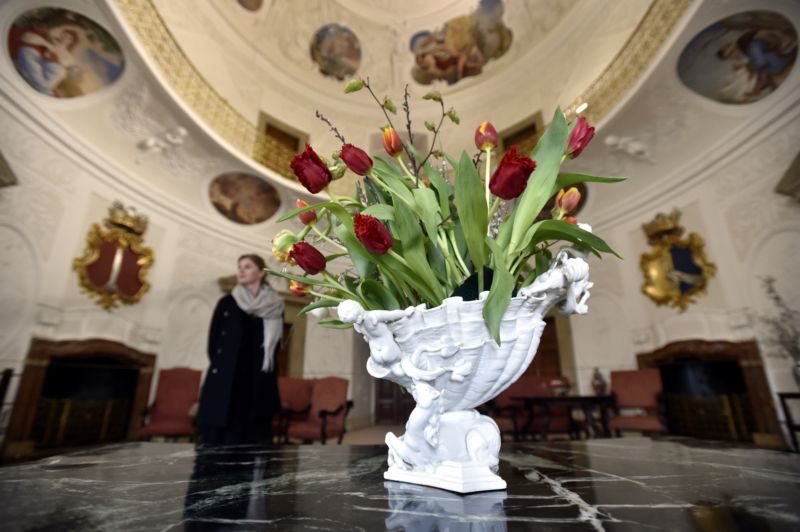 Expozici tvoří asi 2500 kusů tulipánů.