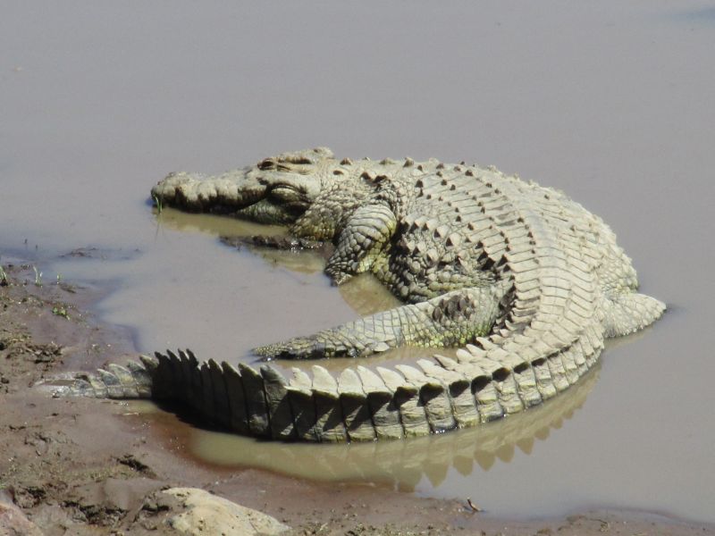 Ilustrační foto.