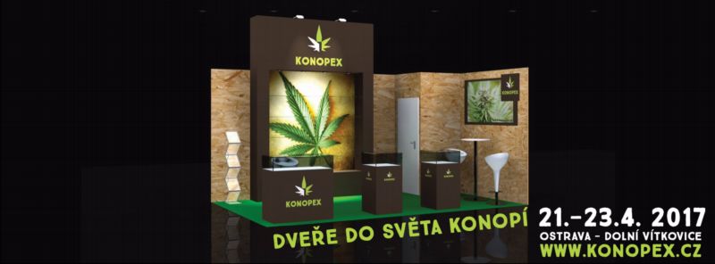 Upoutávka na festival.