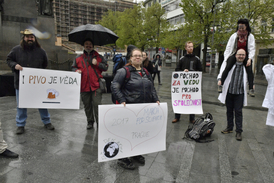 Pražský pochod za vědu, který pořádá Český klub skeptiků Sisyfos a Ateisté ČR, je součástí celosvětové akce March for Science.