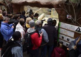 Návštěvníci zoo přišli oslavit první narozeniny gorily.