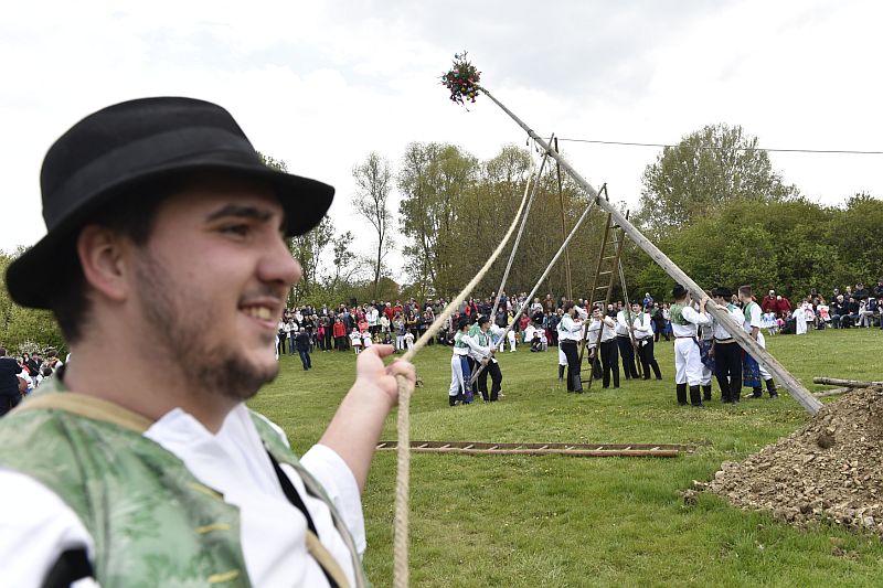 Stavbou máje za účasti členů folklorního souboru Demižon byla 30. dubna ve skanzenu ve Strážnici na Hodonínsku zahájena turistická sezona.