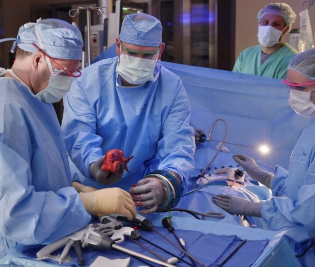 Transplantace orgánů. 