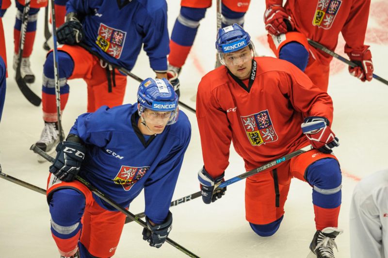 Česká reprezentace před MS ve Francii a Německu.