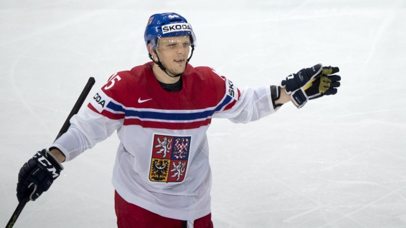 Český reprezentační obránce Radim Šimek. Český reprezentační obránce Radim Šimek.