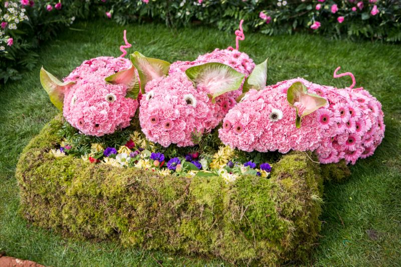 Jednačtyřicátý ročník expozice Floria Jaro navštívilo téměř osmdesát tisíc lidí. Jednačtyřicátý ročník expozice Floria Jaro navštívilo téměř osmdesát tisíc lidí.