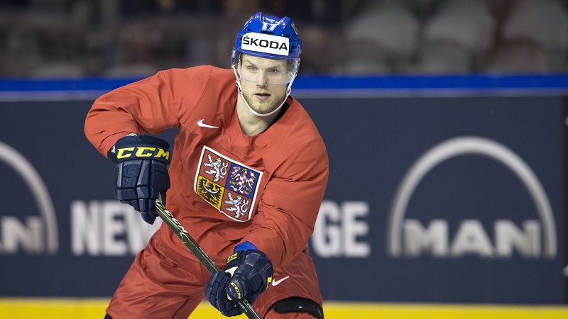 Vladimír Sobotka zasáhne již do utkání s Francií.