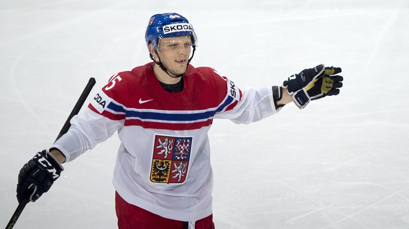Radim Šimek. Radim Šimek.