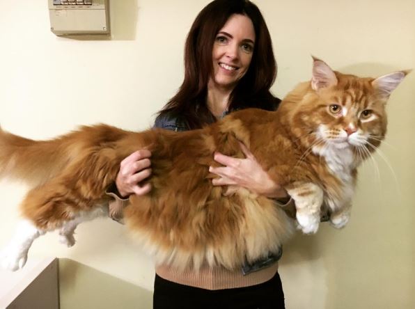 Podle posledního měření má Omar podle jeho majitelky 120 centimetrů.