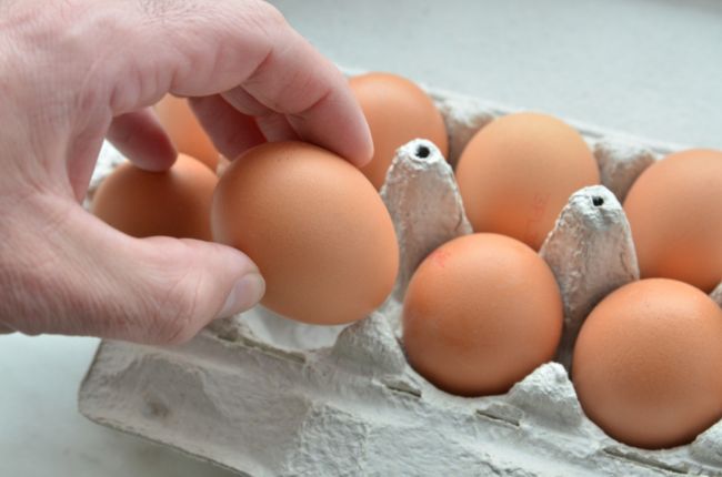 Zdražení zaznamenala vejce a jiné živočišné výrobky. 