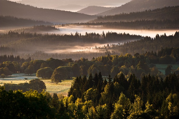 Snímek Národního parku Šumava.