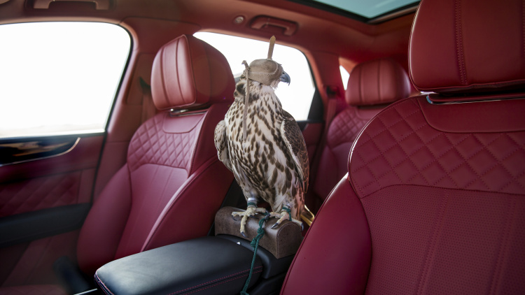 Speciální edice SUV od Bentley pro milovníky sokolnictví.
