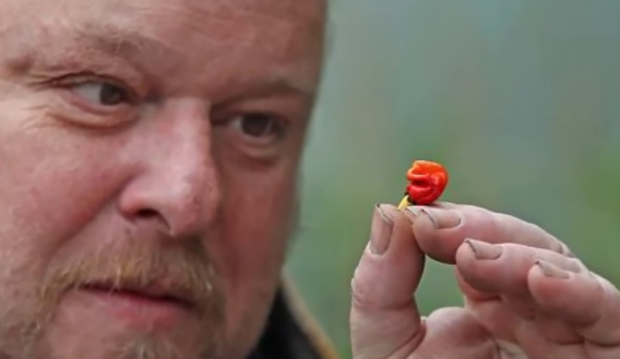 pěstitel Mike Smith (na snímku) z Walesu prý zcela náhodou vypěstoval nejpálivější druh chilli papričky na světě.