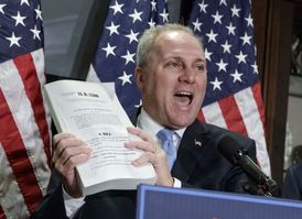 Steve Scalise.