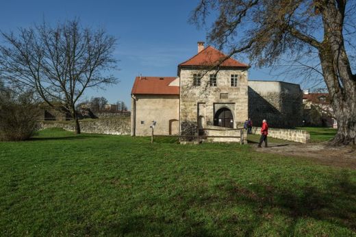 Vodní hrad Lipý v České Lípě.