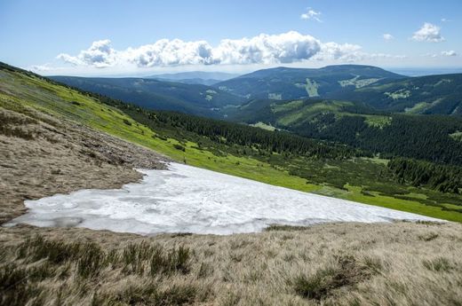 Mapa republiky v Krkonoších. Mapa republiky v Krkonoších.