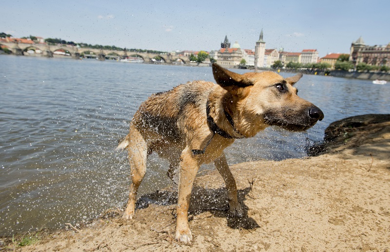 Ilustrační foto.