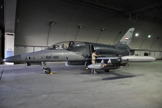 Na snímku je český letoun L-159. Ty by mohly být pořízeny rakouskou armádou.