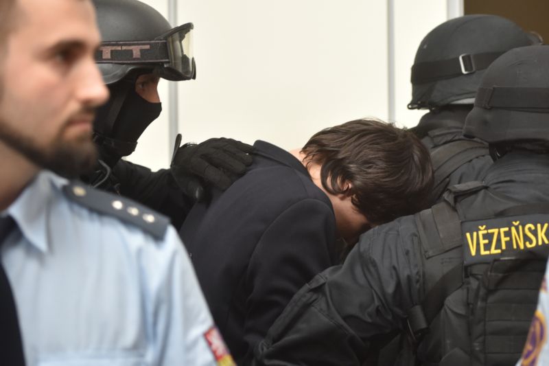Osmnáctiletý Lukáš Hajný, který loni napadl dva policisty. 
