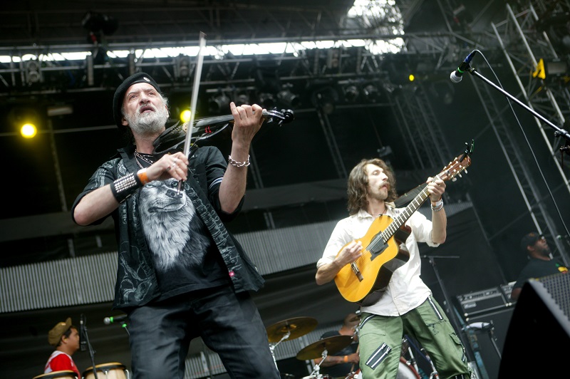 Kapela Gogol Bordello není v Česku poprvé. Snímek je z vystoupení na Rock for People 2009.