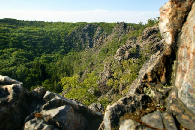 Divoká Šárka.